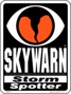 4.5"x 6" SKYWARN Storm Spotter Reflective Magnetic sign ~ Style 1
